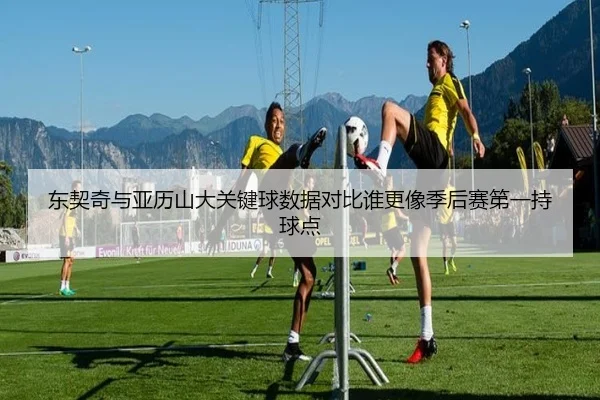 东契奇与亚历山大关键球数据对比谁更像季后赛第一持球点