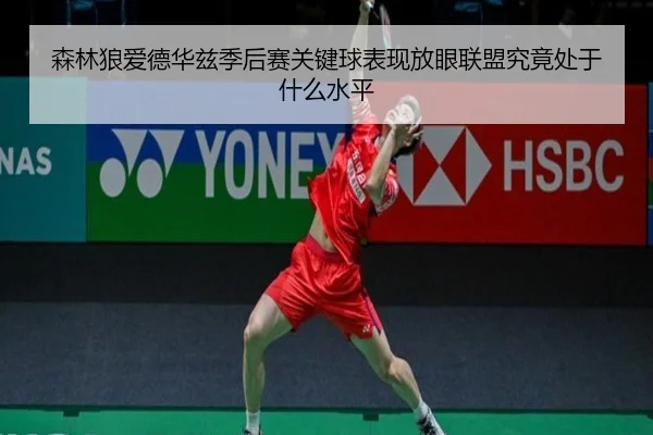 森林狼爱德华兹季后赛关键球表现放眼联盟究竟处于什么水平