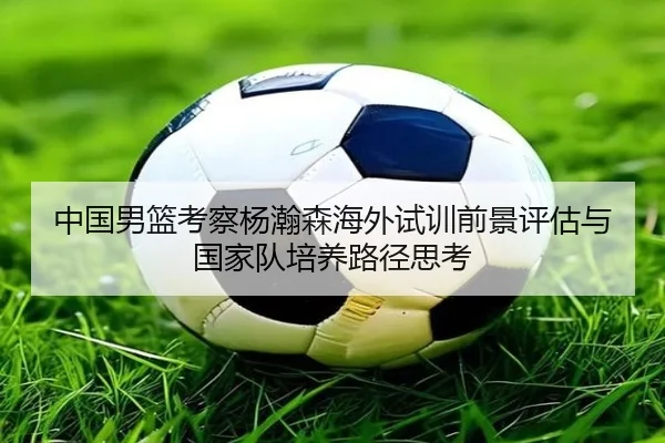 中国男篮考察杨瀚森海外试训前景评估与国家队培养路径思考